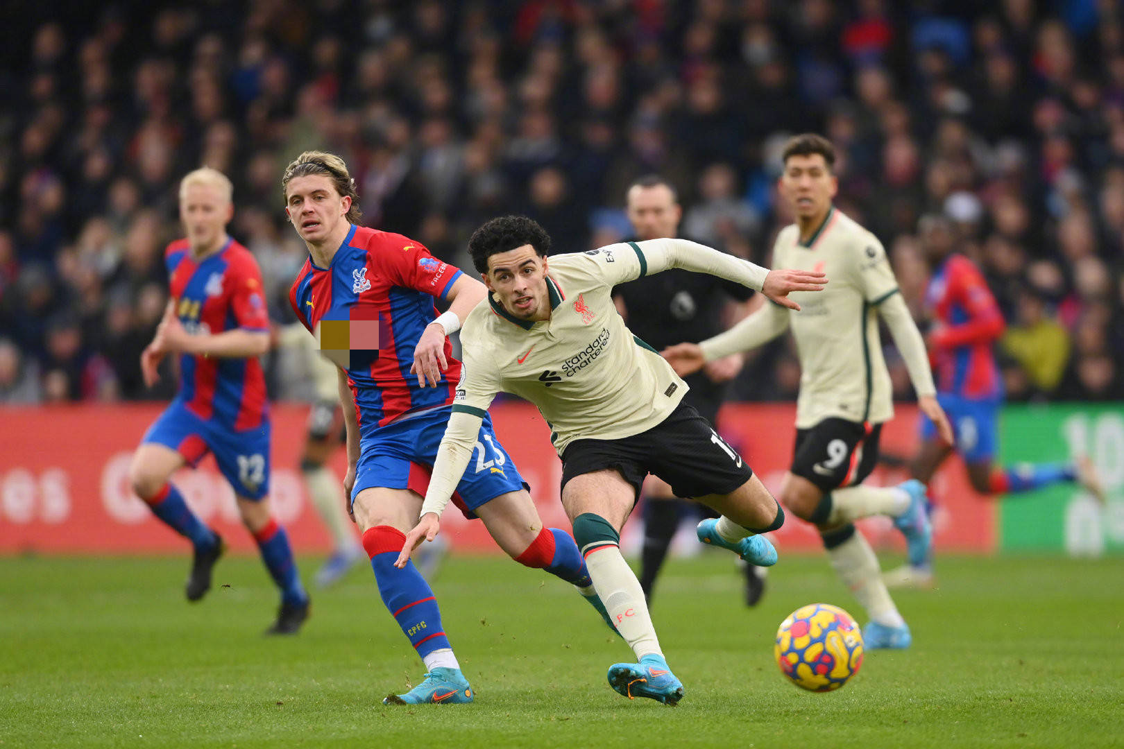 国家足球发 国家足球发